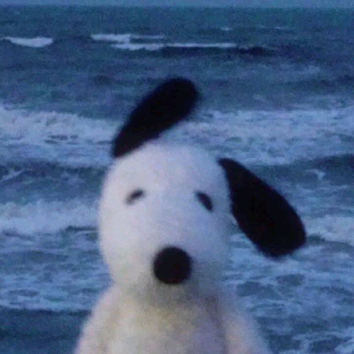 Snoopy pfp Profile Picture at the Beach with Ocean Waves