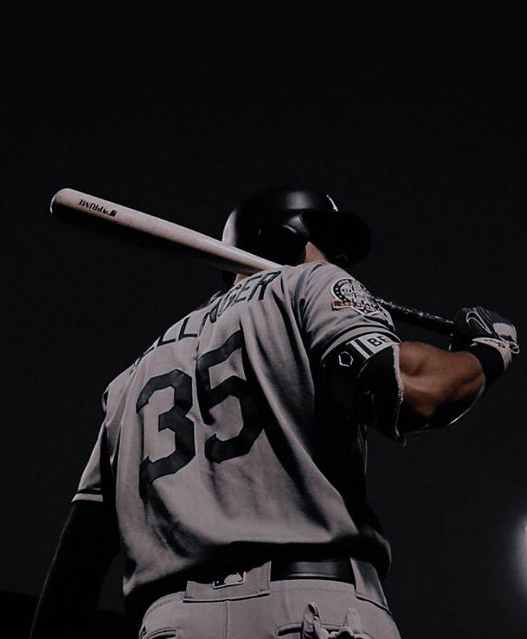 Baseball pfp Profile Picture Player Batting Stance with Bat