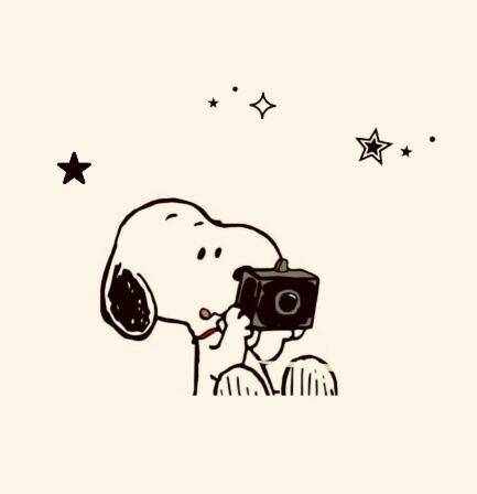 Snoopy pfp Profile Picture Taking Photos with Camera