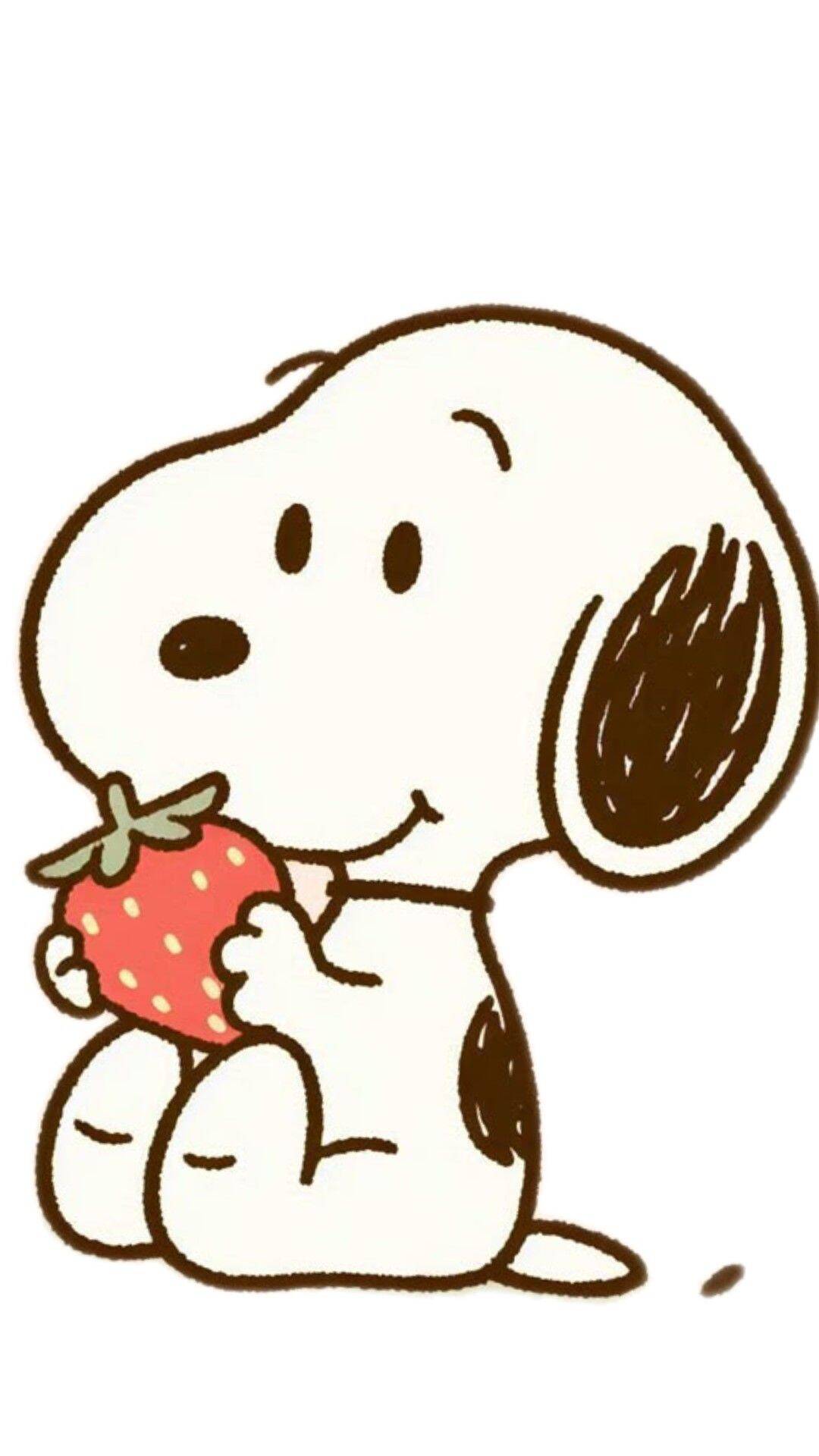 Snoopy pfp Profile Picture Cute Strawberry Snack