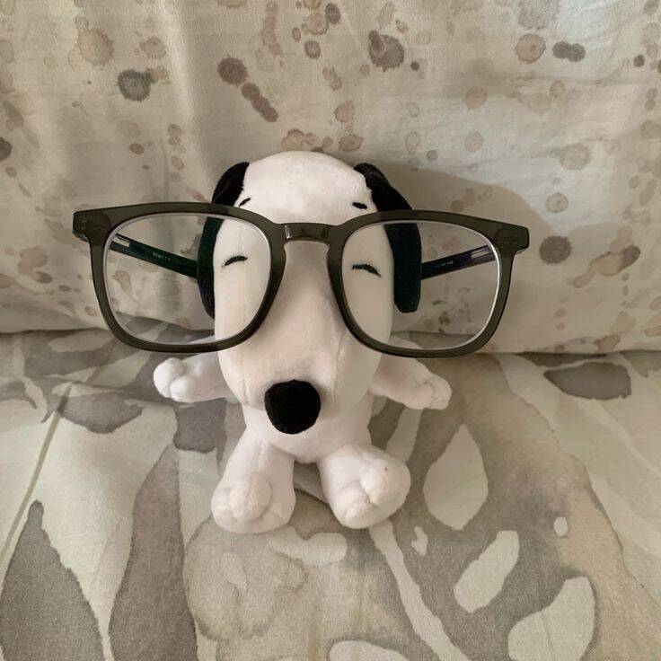 Snoopy pfp Profile Picture Cute Plush Toy with Glasses