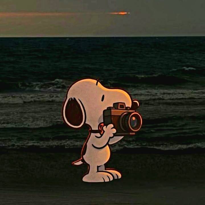 Snoopy pfp Profile Picture Capturing Sunset Memories