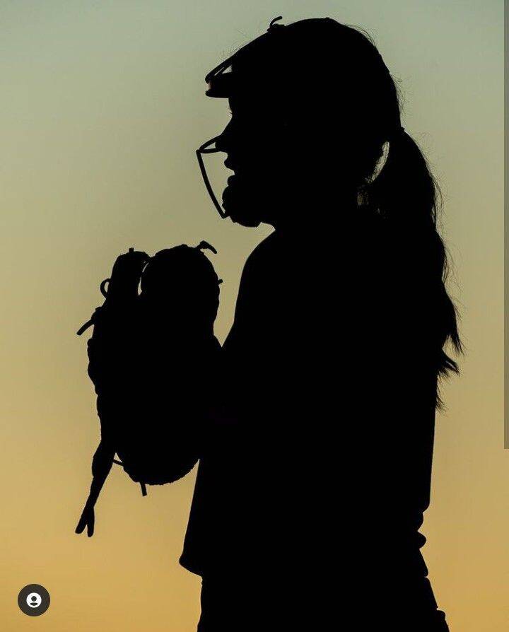 Baseball pfp Profile Picture Pitcher Silhouette at Sunset