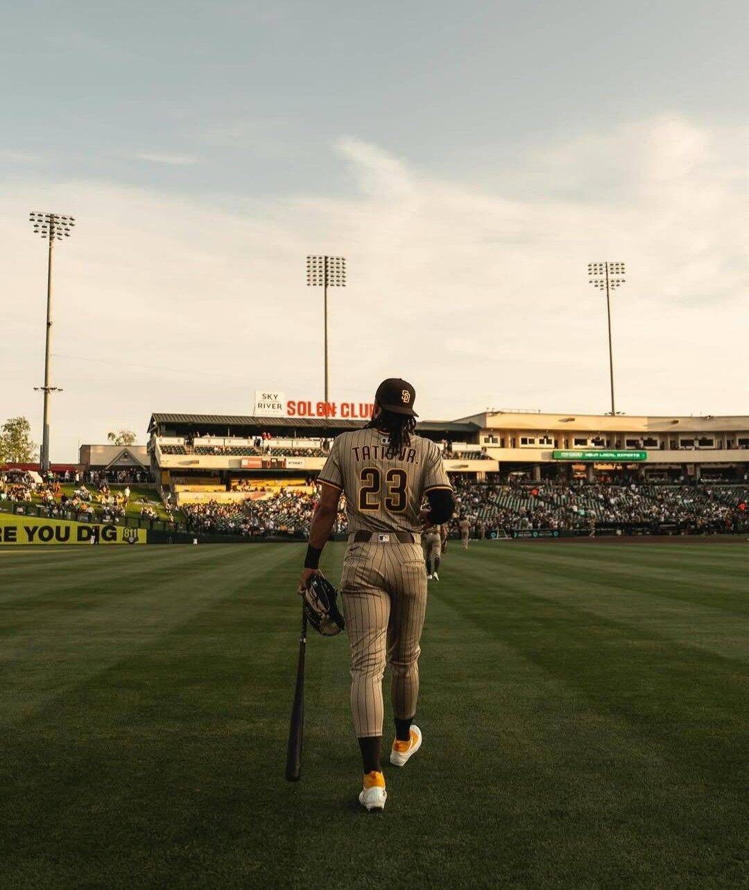 Baseball pfp Profile Picture Player Walking to Batting Position