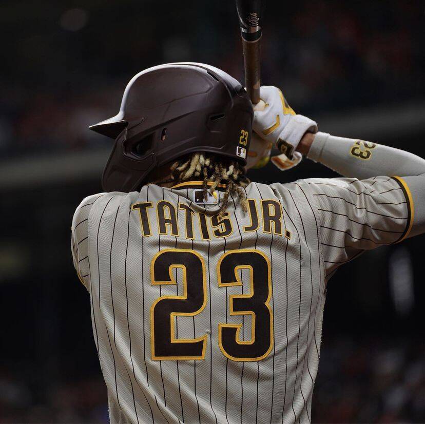 Baseball pfp Profile Picture Player Batting Stance