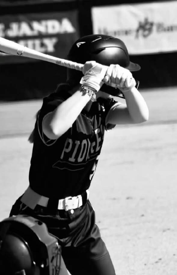 Baseball pfp Profile Picture Player Batting Stance