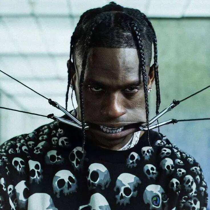 Travis Scott pfp Profile Picture Edgy Skull Sweater Look