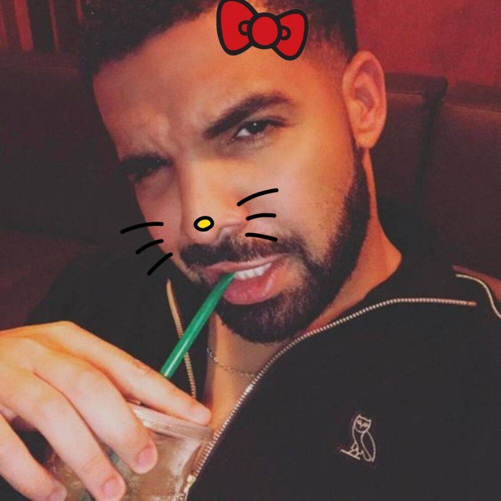 Drake pfp Profile Picture Cute Hello Kitty Filter