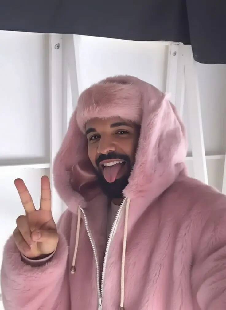 Drake pfp Profile Picture Pink Fur Hoodie Style