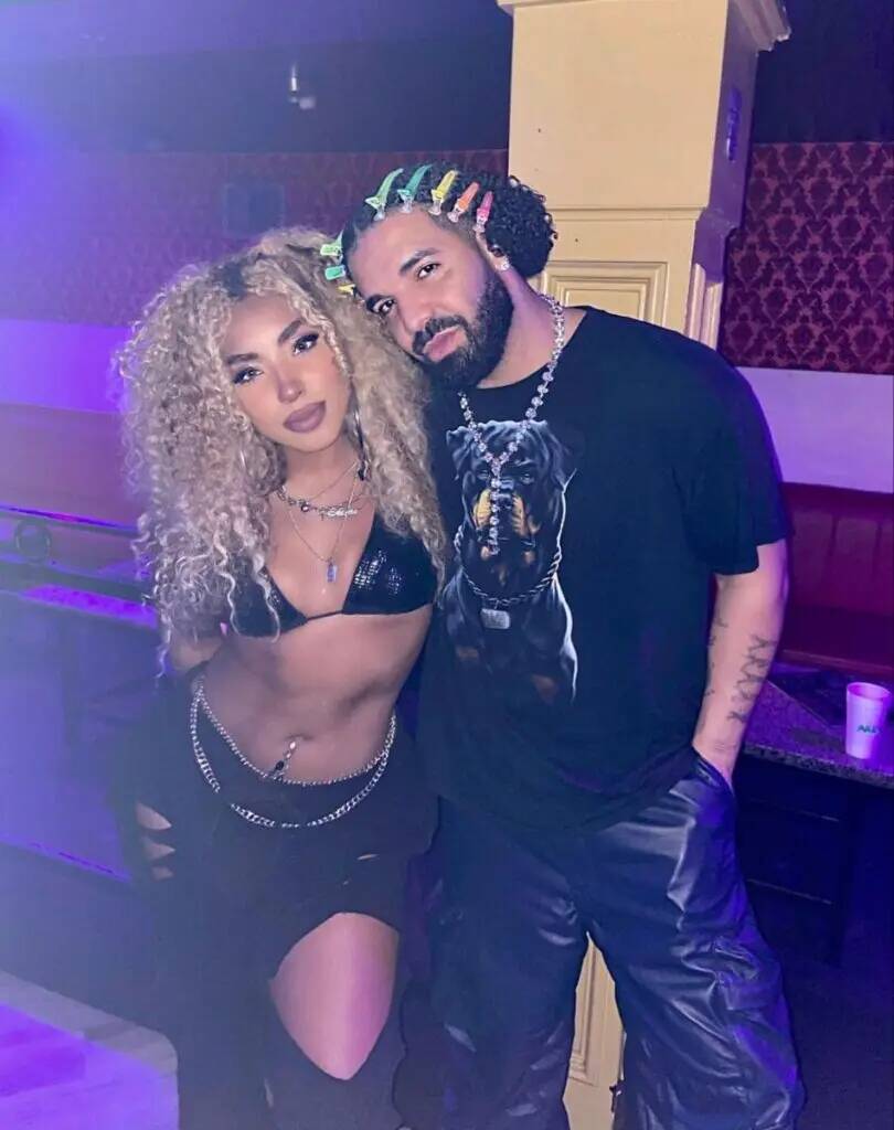 Drake pfp Profile Picture with Stylish Hair and Black Outfit