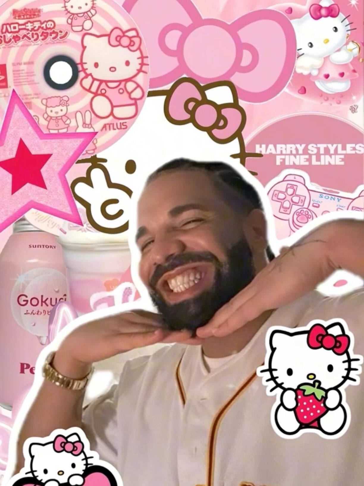 Drake pfp Profile Picture Cute Hello Kitty Aesthetic