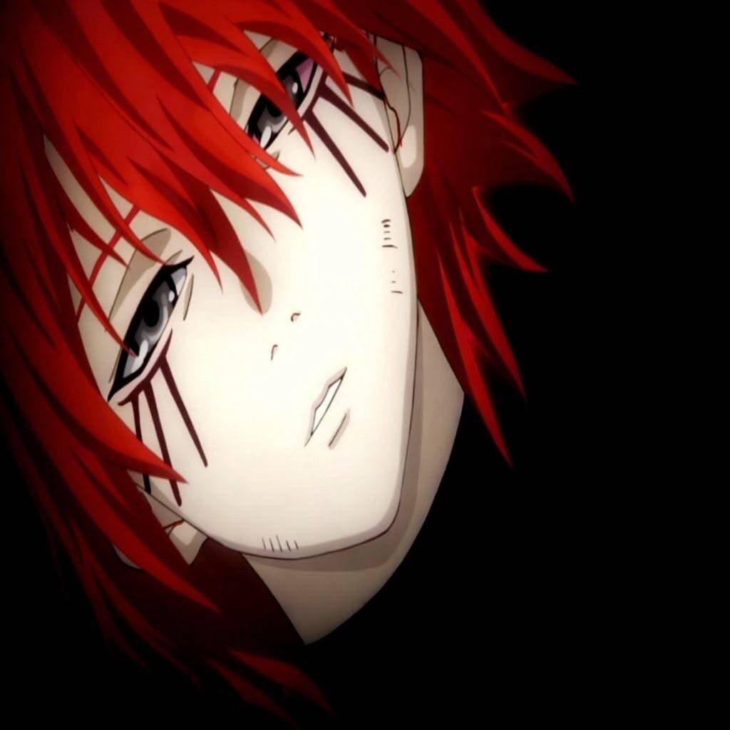 Red pfp Profile Picture Aesthetic Anime Character with Red Hair