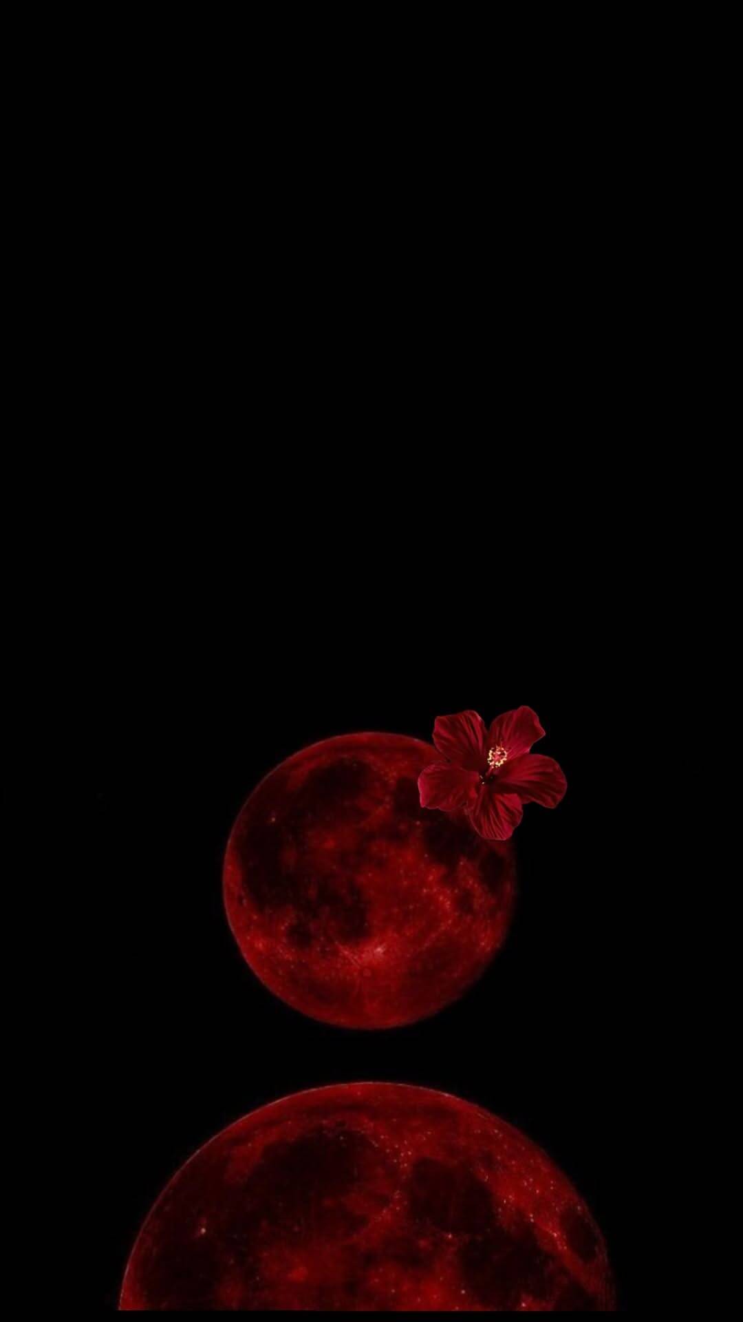Red pfp Profile Picture with Floral Touch and Moon