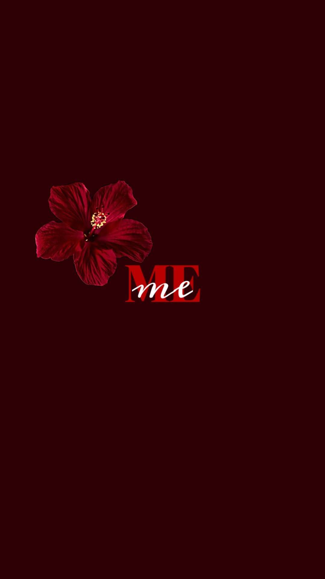 Red pfp Profile Picture Aesthetic Hibiscus Flower Dark Red