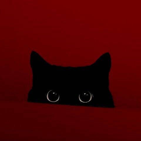 Red pfp Profile Picture Black Cat Eyes Aesthetic