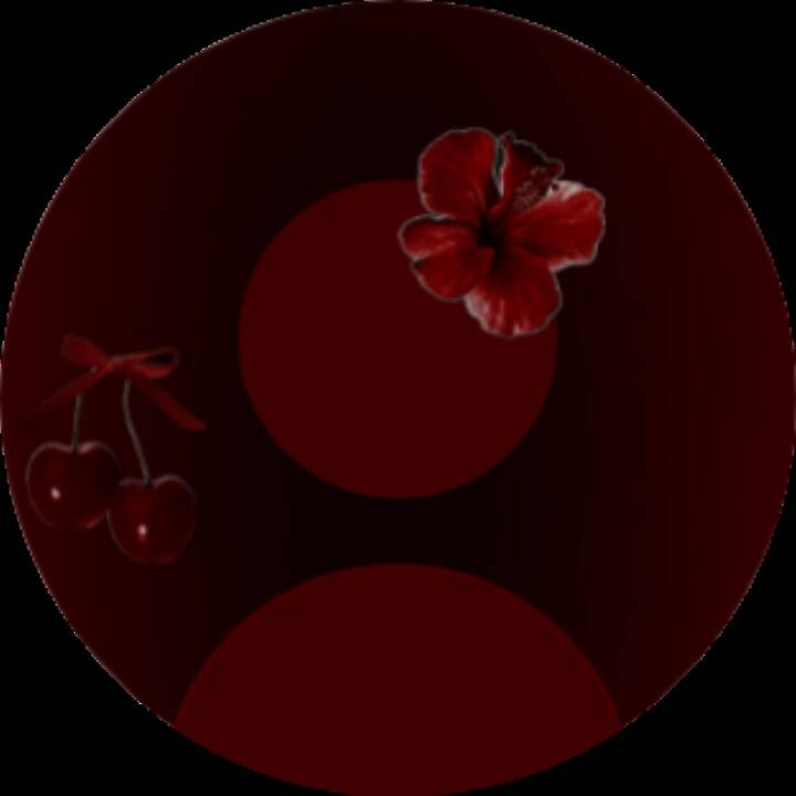 Red pfp Profile Picture Cherry Blossom Aesthetic Dark Red