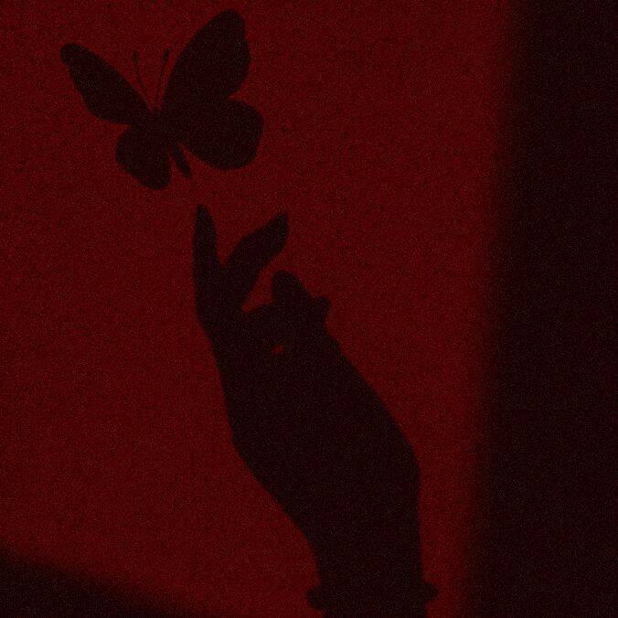 Red pfp Profile Picture Butterfly Shadow Aesthetic